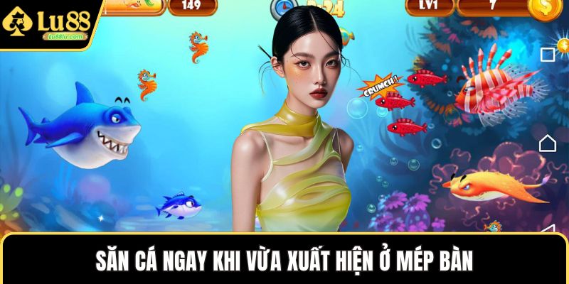 Săn cá ngay khi vừa xuất hiện ở mép bàn