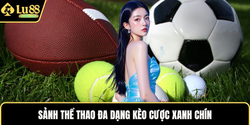Sảnh thể thao đa dạng kèo cược xanh chín