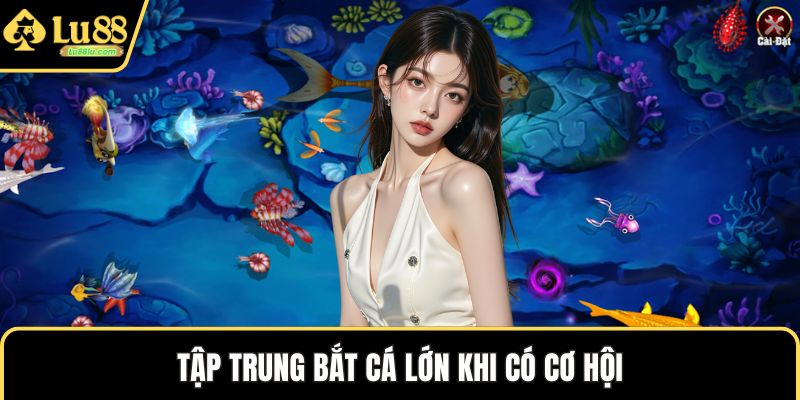 Tập trung bắt cá lớn khi có cơ hội